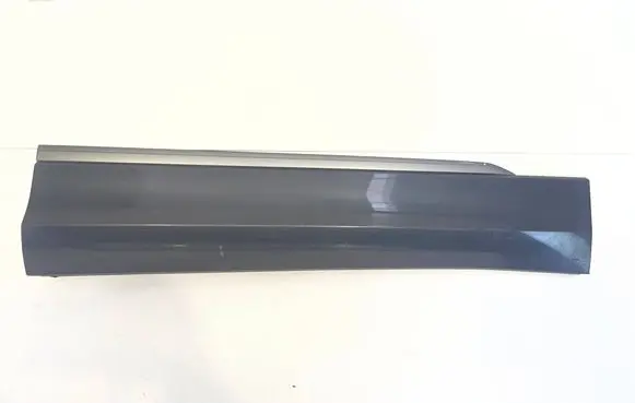 Volkswagen Tiguan Front door trim (molding) 5NA854940AH