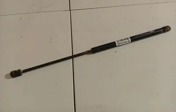 Tailgate/trunk strut/damper