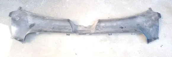 Radiator trim