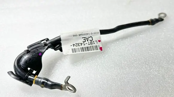 Ford Fiesta Negative earth cable (battery) L1BT14324 14220946000