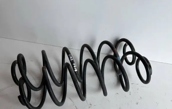 Rear coil spring