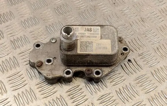 Opel Astra K Engine oil radiator 55499632 170870958 644029084