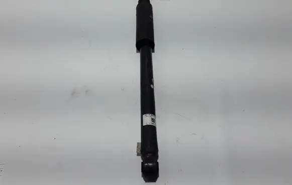 Dacia Spring Rear shock absorber/damper 562103041R