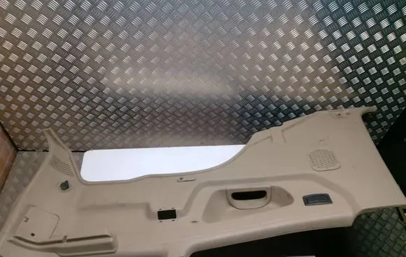 Nissan Terrano Trunk/boot side trim panel 0769000F050
