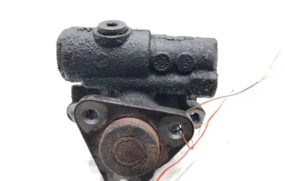 Porsche Cayenne (9PA) Power steering pump 94831405004