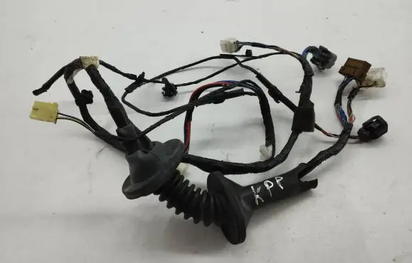 Front door wiring loom
