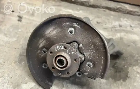 Audi Q5 SQ5 Rear wheel hub spindle/knuckle 