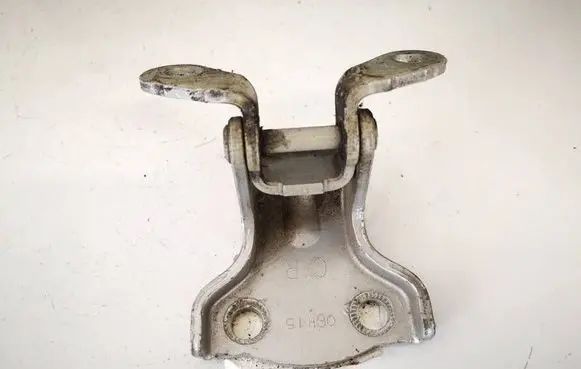 Rear door lower hinge