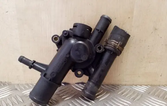 Thermostat/thermostat housing