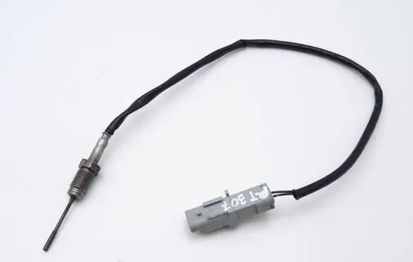 Peugeot 307 Exhaust gas temperature sensor 