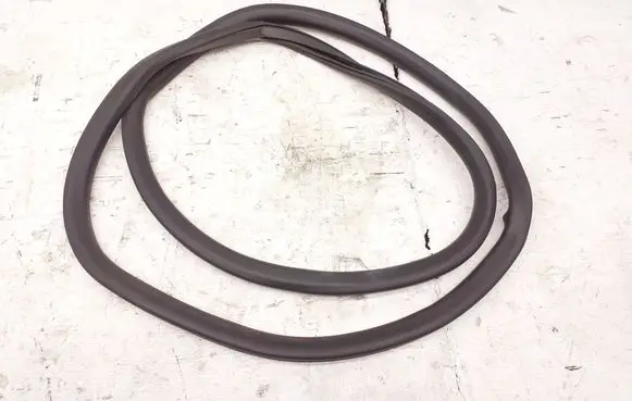 Ford Mustang Mach-E Front door rubber seal LJ8BR20708AA