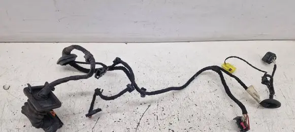 Volkswagen PASSAT B6 Front door wiring loom 3C1971120T