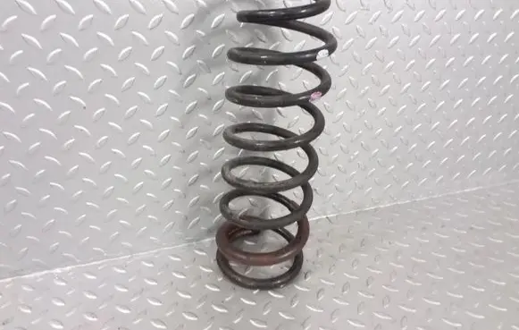 Chevrolet Epica Rear coil spring 96639761