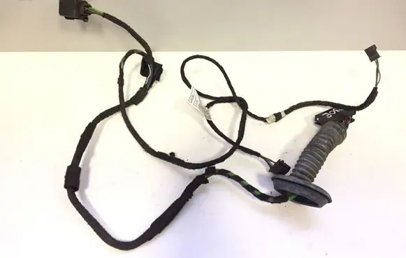 Rear door wiring loom