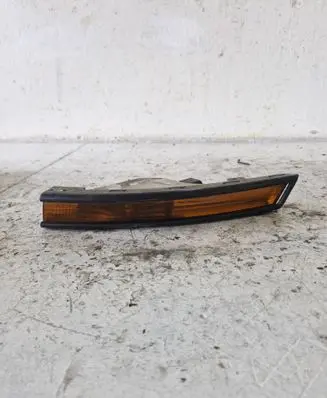 Volkswagen PASSAT B6 Front indicator light