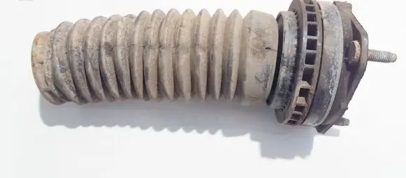Coil spring mount