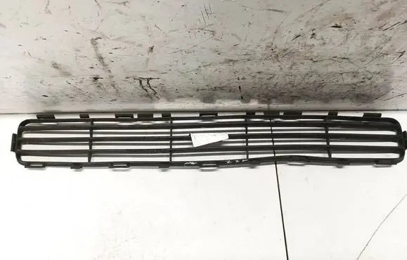 Front bumper lower grill