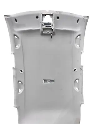 Volkswagen Tiguan Headlining 5N0867501CN