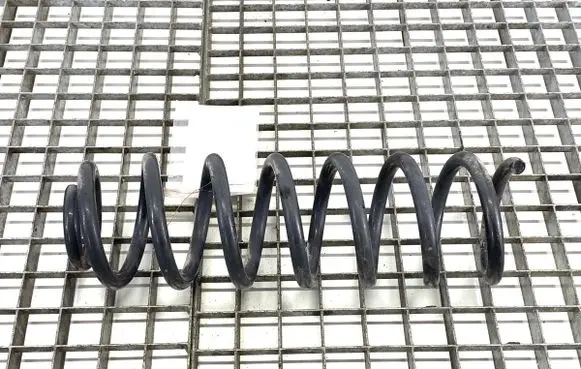 Rear coil spring