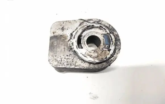 Renault Megane II Engine oil radiator 