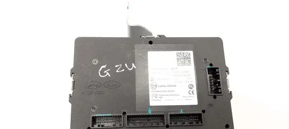 KIA Niro Other devices 95400G5570