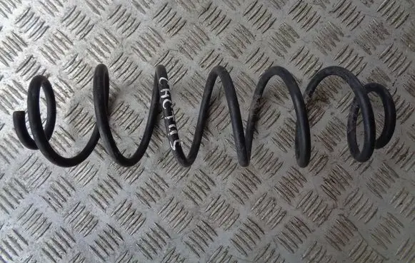 Rear coil spring