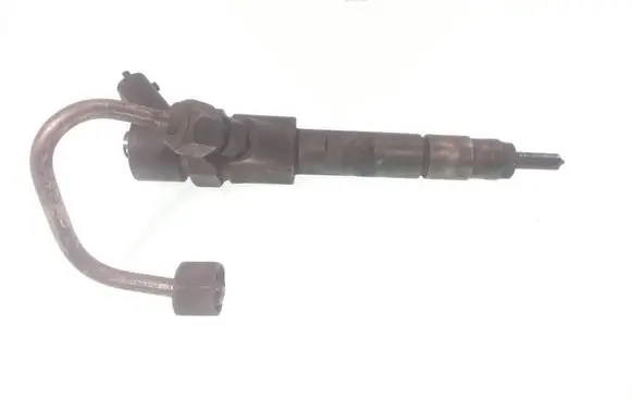 Renault Kangoo I Fuel injector 8200100696 8RH5H0