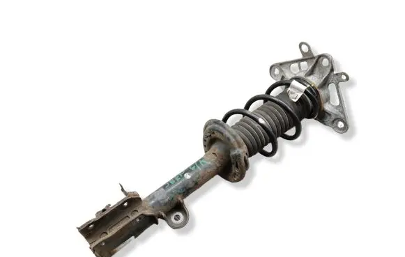 Jeep Compass Rear shock absorber with coil spring 00533806450