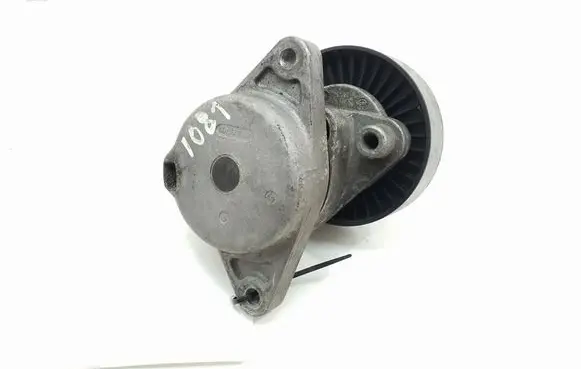 Mercedes-Benz CL C215 Timing belt/chain tensioner A1122000970