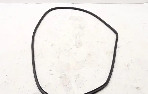 Dodge Durango Rear door rubber seal (on body) 55399174AE