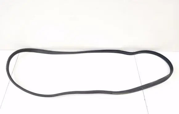 Mercedes-Benz GL X164 Front door rubber seal A1646900476