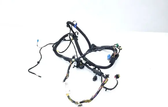 Front door wiring loom