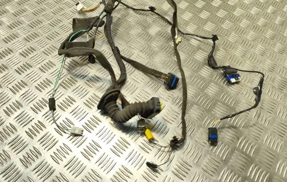 Rear door wiring loom