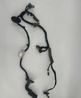 Other wiring loom