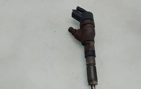 Peugeot 406 Fuel injector 0445110076