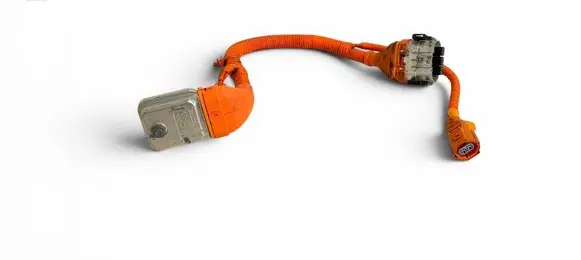 Hyundai Kona I Other wiring loom 91674CM000 52456