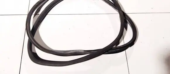 Citroen Xsara Picasso Rubber seal rear door 