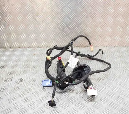 Volkswagen ID.3 Front door wiring loom 5WA972702