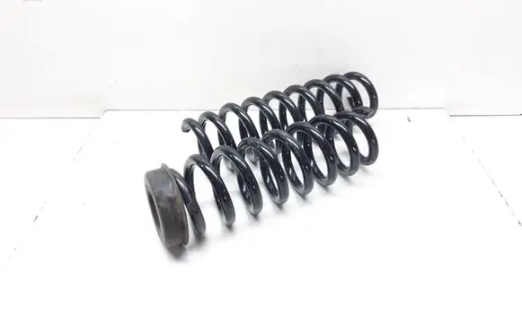 Rear coil spring