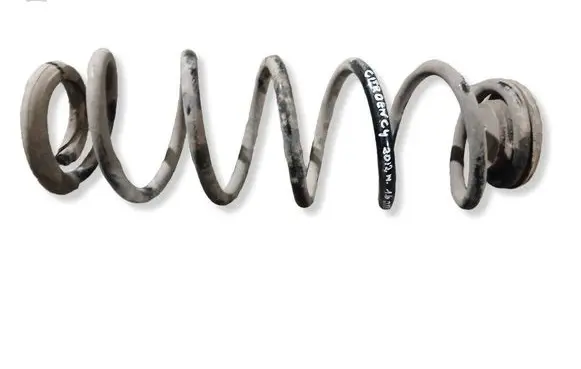 Citroen C4 II Rear coil spring