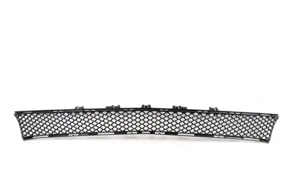 Front bumper lower grill