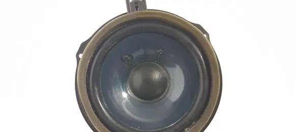 Ford Escape III Rear door speaker F1ET18808FA