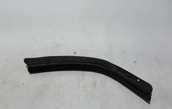 Dacia Duster Other rear door trim element 828291906R