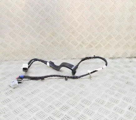 Rear door wiring loom