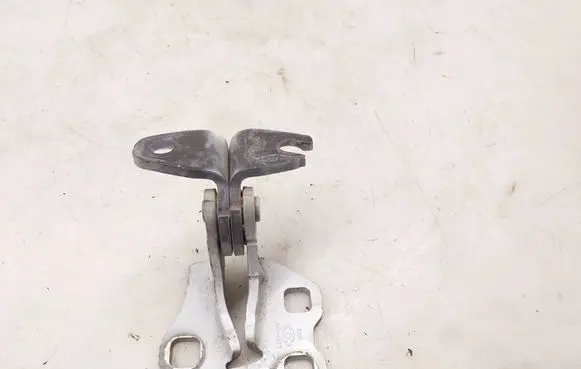 Tesla Model 3 Rear door lower hinge