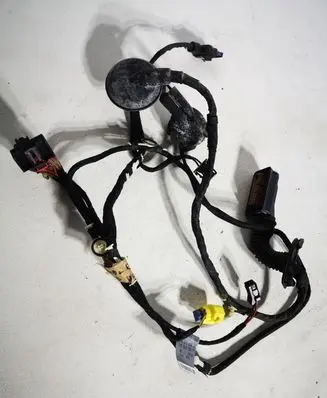 Audi Q5 SQ5 Front door wiring loom 8R0971030
