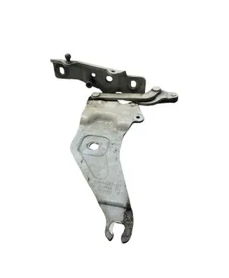 BMW X5 E70 Engine bonnet/hood hinges 720862801
