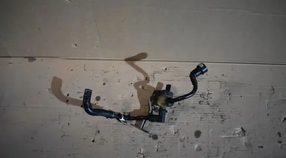 Porsche Panamera (971) Engine coolant pipe/hose