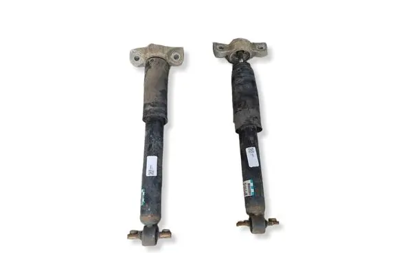 Ford Edge II Front shock absorber/damper 
