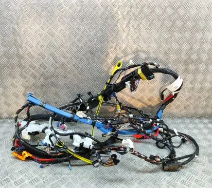 Tesla Model Y Other wiring loom 248904282A